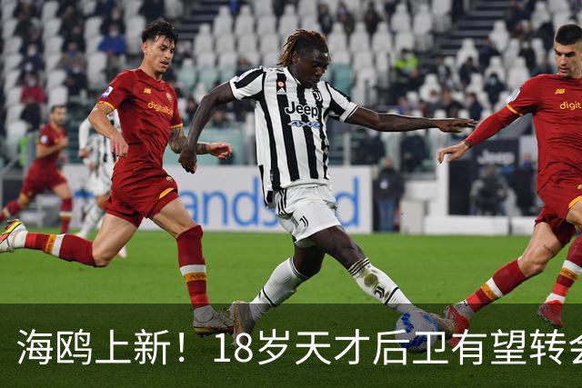 海鸥上新！18岁天才后卫有望转会英格兰，天赋顶级布莱顿要买